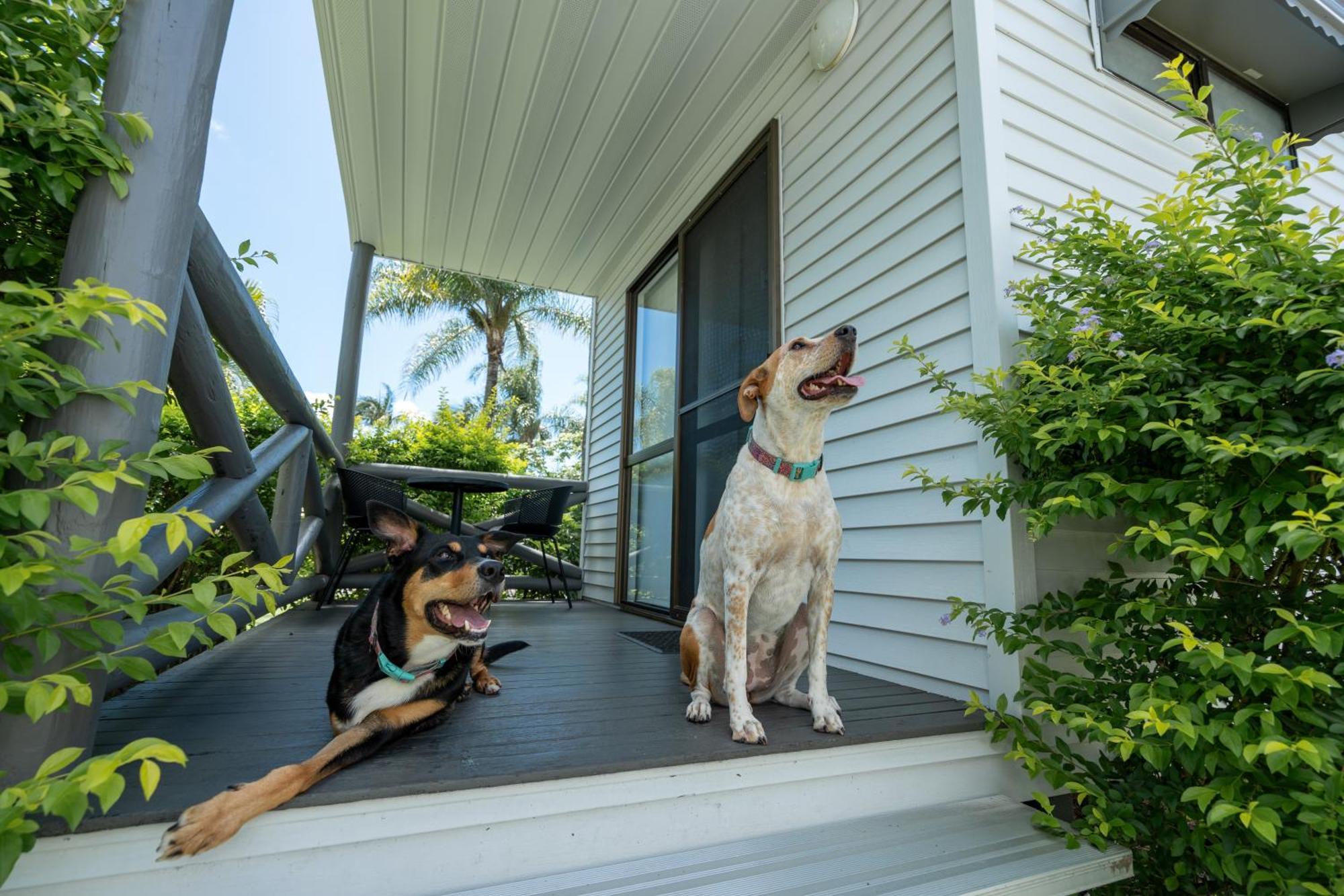 Tasman Holiday Parks - Hervey Bay Exterior photo